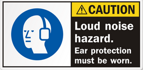 Noise induced hearing loss
